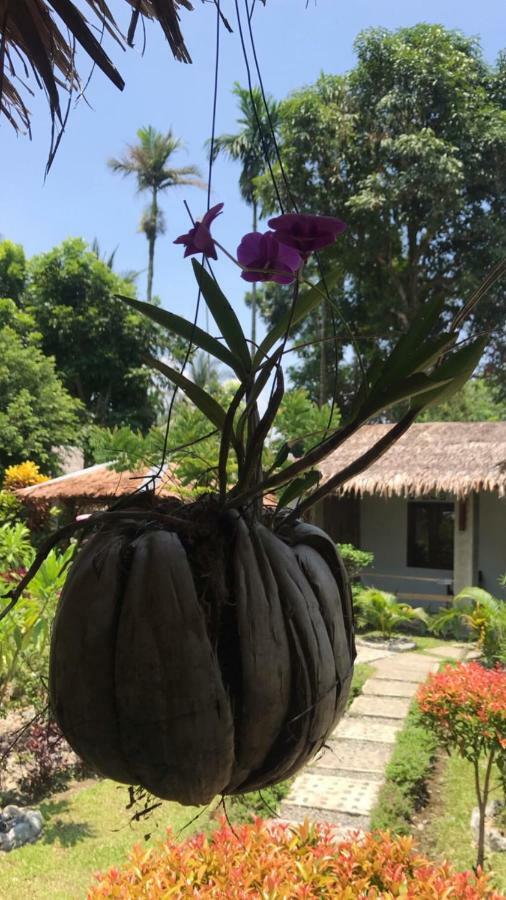 Villa Paradise 부킷 라왕 외부 사진